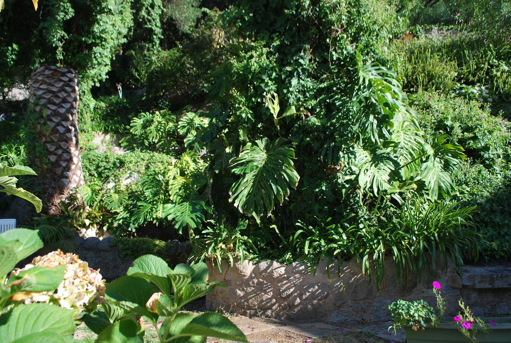 Albergaria Do Lageado Monchique Esterno foto